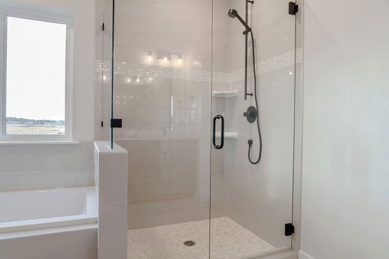 Minimalist Frameless Shower